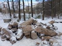 20241123_105956 (1024x768) (1024x768).jpg